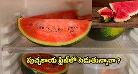 Shobha Shetty: సండే స్పెషల్.. రెడ్ మిర్చీలా .. శోభా ఘాటు ఫోజులు..!