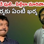 Ram Gopal Varma : పులిలా ఉండే వర్మ… పిల్లిలా మారిపోయాడు… పవన్ మరీ ఇంతలా భయపెట్టాడా..?