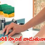 Dirty Sponge: డిష్ వాషింగ్ స్పాంజ్‌‌లో బ్యాక్టీరియా.. ఇలా వాడితే చాలా డేంజర్ !