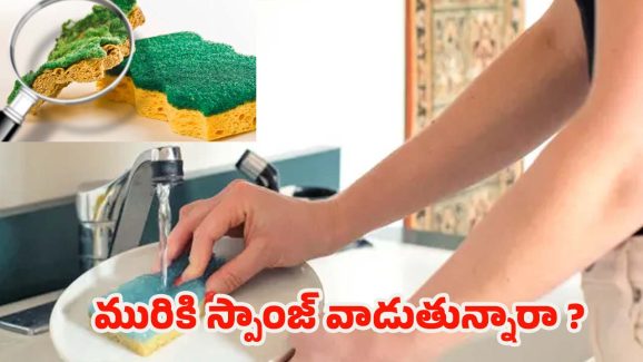 Dirty Sponge: డిష్ వాషింగ్ స్పాంజ్‌‌లో బ్యాక్టీరియా.. ఇలా వాడితే చాలా డేంజర్ !