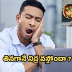 Sleepy After Eating: తినగానే నిద్ర వస్తోందా ? అసలు కారణాలివే !
