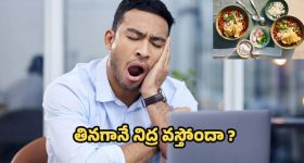 Sleepy After Eating: తినగానే నిద్ర వస్తోందా ? అసలు కారణాలివే !