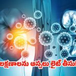 Kidney Damage: మీలో ఈ లక్షణాలున్నాయా ? అస్సలు లైట్ తీసుకోవద్దు !
