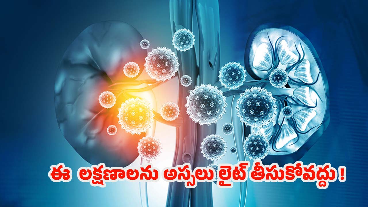 Kidney Damage: మీలో ఈ లక్షణాలున్నాయా ? అస్సలు లైట్ తీసుకోవద్దు !