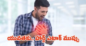 Heart Attack: యువతకు హార్ట్ ఎటాక్ ముప్పు.. కారణాలివేనట !