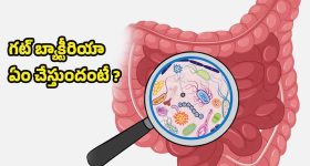 PNB Recruitment: లక్షకు పైగా వేతనంతో ఉద్యోగాలు.. డిగ్రీ పాసైతే చాలు.. ఇంకా వారం రోజులే..!