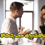 Anger Control Tips: కోపాన్ని కంట్రోల్ చేసుకోవడం చాలా ముఖ్యం.. ఎందుకంటే ?