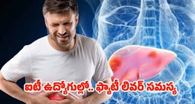 Fatty Liver: ఐటీ ఉద్యోగుల్లో ఫ్యాటీ లివర్ సమస్య.. పరిశోధనల్లో షాకింగ్ నిజాలు !