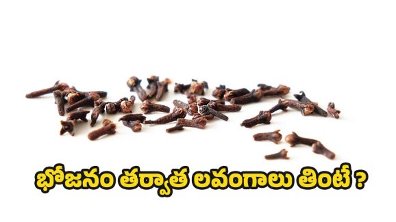 Cloves: భోజనం తర్వాత లవంగాలు తింటే.. ఎన్ని లాభాలో తెలుసా ?