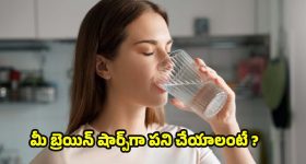 Drinking Water: ప్రతి రోజు ఉదయం ఈ ఒక్క పని చేస్తే.. మెదడు షార్ప్‌గా పని చేస్తుంది !