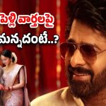 Prabhas: త్వరలో ప్రభాస్ పెళ్లి.. టీమ్ రియాక్షన్ అదుర్స్..!