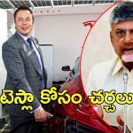 AP Govt On Tesla: టెస్లాతో ఏపీ చర్చలు.. మూడు ప్రాంతాల్లో ల్యాండ్ రెడీ
