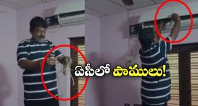 Snakes In AC: ఏసీలో పిల్లలను పెట్టిన పాము, ఎక్కడా ప్లేస్ దొరకలేదానే తల్లీ?