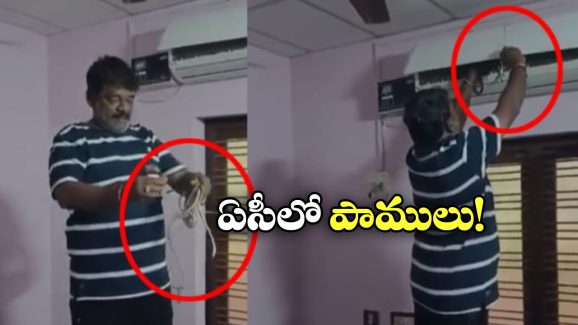 Snakes In AC: ఏసీలో పిల్లలను పెట్టిన పాము, ఎక్కడా ప్లేస్ దొరకలేదానే తల్లీ?