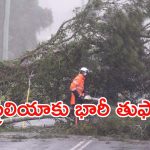 Cyclone Alfred in Australia: ఆస్ట్రేలియాను వణికిస్తున్న ఉష్ణమండల తుఫాన్.. 50 ఏళ్ల తర్వాత..?