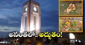 Adah Sharma: బాక్స్ ఆఫీస్ కలెక్షన్స్ పై హీరోయిన్ షాకింగ్ కామెంట్..!