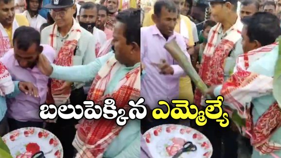 Assam AIUDF MLA: శంకుస్థాపనకు వెళ్లి రెచ్చిపోయిన ఎమ్మెల్యే, ఏకంగా అరటి మొక్కను తీసుకొని..