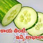 Cucumber Benefits: దోసకాయ తింటే గుండె, కిడ్నీలకు మేలు.. ఇంకా ఎన్నో లాభాలు !