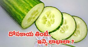 Cucumber Benefits: దోసకాయ తింటే గుండె, కిడ్నీలకు మేలు.. ఇంకా ఎన్నో లాభాలు !