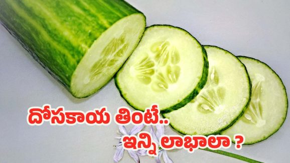Cucumber Benefits: దోసకాయ తింటే గుండె, కిడ్నీలకు మేలు.. ఇంకా ఎన్నో లాభాలు !