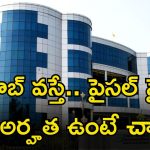 BEL Recruitment: బెల్‌లో ఉద్యోగాలు.. ఈ జాబ్ కొడితే పైసలే పైసల్ భయ్యా.. ఈ అర్హత ఉంటే ఇప్పుడే..?