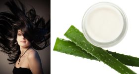 Hair care: జుట్టు ఆరోగ్యంగా నల్లగా ఎదగాలంటే కలబంద, కర్పూరం కలిపి ఇలా చేయండి