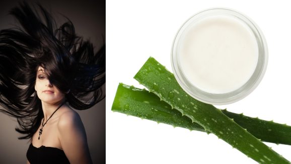 Hair care: జుట్టు ఆరోగ్యంగా నల్లగా ఎదగాలంటే కలబంద, కర్పూరం కలిపి ఇలా చేయండి