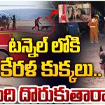 SLBC Tunnel: టన్నెల్‌లోకి క్యాడవార్ డాగ్స్.. ఈ కుక్కలు లోనికి వెళ్తే జాడ దొరికినట్టే..