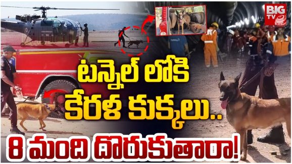 SLBC Tunnel: టన్నెల్‌లోకి క్యాడవార్ డాగ్స్.. ఈ కుక్కలు లోనికి వెళ్తే జాడ దొరికినట్టే..