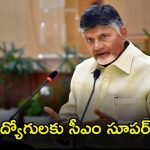 CM Chandrababu: నిరుద్యోగులకు సీఎం చంద్రబాబు శుభవార్త.. ఇక ప్రతి మూడు నెలలకోసారి జాబ్ మేళాలు..