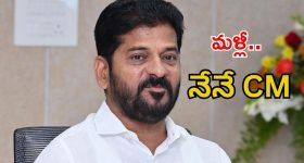 Vijayasai Reddy: రాజు కళ్లకు గంతలు కట్టి.. ఆటలు, మళ్లీ జగన్‌‌కు విజయసాయి రెడ్డి చురకలు!
