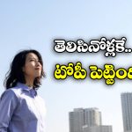 China Woman: కిలాడి లేడీ.. నకిలీ డాక్యుమెంట్లతో 80 ప్లాట్లు అమ్మేసింది.. రూ.28 కోట్లు కాజేసింది!