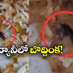 Cockroach In Biryani: సగం బిర్యానీ తిన్నాక షాక్.. ప్లేట్ లో ఏం కనిపించిందంటే?