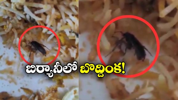 Cockroach In Biryani: సగం బిర్యానీ తిన్నాక షాక్.. ప్లేట్ లో ఏం కనిపించిందంటే?