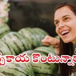 Watermelon: తాజా, తియ్యటి పుచ్చకాయను గుర్తించడం ఎలా ?
