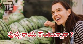Watermelon: తాజా, తియ్యటి పుచ్చకాయను గుర్తించడం ఎలా ?