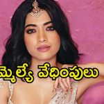 Rashmika Mandanna: రష్మికకు ప్రొటెక్షన్ అవసరం.. కేంద్ర ప్రభుత్వానికి స్పెషల్ రిక్వెస్ట్