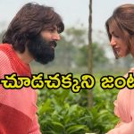 Sreeleela: ‘నువ్వే నా జీవితం’.. కార్తిక్ ఆర్యన్‌తో శ్రీలీల రొమాంటిక్ మూమెంట్