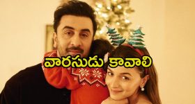 Ranbir Kapoor: సెకండ్ బేబీ ప్లానింగ్ గురించి బయటపెట్టిన రణబీర్.. ఏమైనా విశేషమా.?