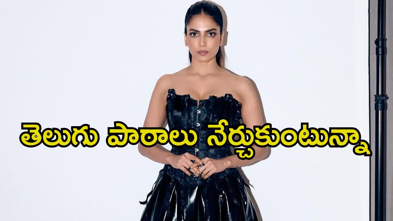 Malavika Mohanan: అలా చేయకపోతే టాలీవుడ్‌లో ఉండలేం.. ప్రభాస్ బ్యూటీ అంత మాట అనేసిందేంటి..?