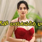 Aditi Sharma: మోసం చేసి పెళ్లి చేసుకుంది, అందుకే విడాకుల కోసం అలా.. నటిపై భర్త ఆరోపణలు