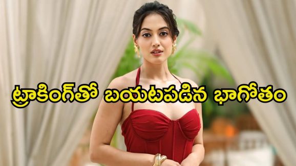 Aditi Sharma: మోసం చేసి పెళ్లి చేసుకుంది, అందుకే విడాకుల కోసం అలా.. నటిపై భర్త ఆరోపణలు