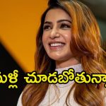 Samantha: అప్‌కమింగ్ ప్రాజెక్ట్‌పై హింట్ ఇచ్చిన సమంత.. చాలాకాలం తర్వాత ఫ్యాన్స్‌కు గుడ్ న్యూస్..