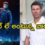 David Warner: ‘రాబిన్‌హుడ్’లో గెస్ట్ రోల్.. డేవిడ్ వార్నర్ ఎన్ని కోట్ల రెమ్యునరేషన్ తీసుకున్నాడంటే.?