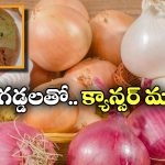 Black Molds On Onions:  ఉల్లి గడ్డలను ఇలా అస్సలు తినకండి, లేదంటే క్యాన్సర్ రావడం పక్కా!
