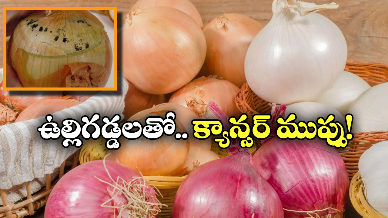 Black Molds On Onions:  ఉల్లి గడ్డలను ఇలా అస్సలు తినకండి, లేదంటే క్యాన్సర్ రావడం పక్కా!