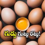 Egg Veg or Non Veg: గుడ్డు మాంసాహారమా.. శాకాహారమా.. నిపుణులు ఏం చెప్తున్నారంటే?