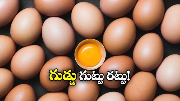 Egg Veg or Non Veg: గుడ్డు మాంసాహారమా.. శాకాహారమా.. నిపుణులు ఏం చెప్తున్నారంటే?