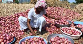 Onion Exports: రైతులు, కస్టమర్లకు గుడ్ న్యూస్..ఉల్లి ఎగుమతులపై కీలక నిర్ణయం