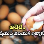 Peel Boiled Eggs: ఉడకబెట్టిన గుడ్డు పెంకు ఈజీగా ఊడి రావాలంటే ఇలా చెయ్యండి!